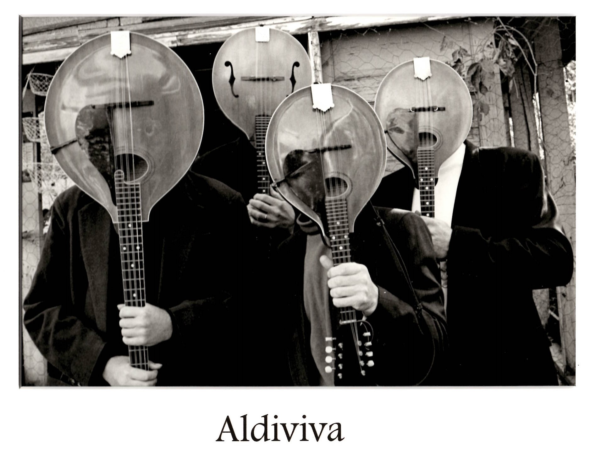 Aldiviva Funny Group Picture